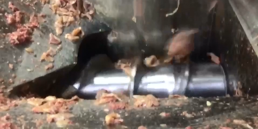 大型肉泥制造商選擇方案220-I